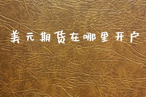 美元期货在哪里开户_https://m.eyunqq.com_融资融券_第1张