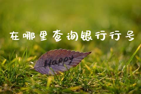在哪里查询银行行号_https://m.eyunqq.com_融资融券_第1张