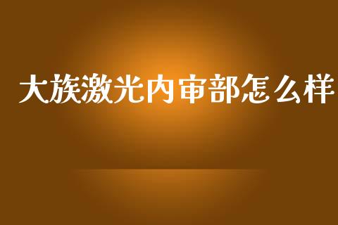 大族激光内审部怎么样_https://m.eyunqq.com_新股申购_第1张