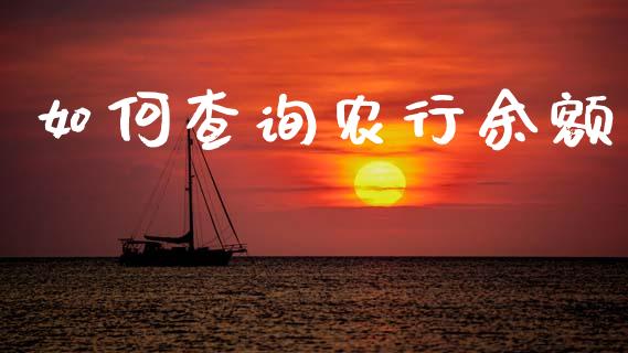 如何查询农行余额_https://m.eyunqq.com_新股申购_第1张