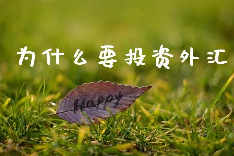 为什么要投资外汇_https://m.eyunqq.com_融资融券_第1张
