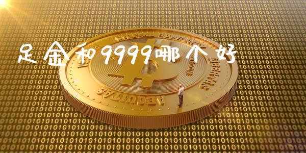 足金和9999哪个好_https://m.eyunqq.com_期货投资学习_第1张