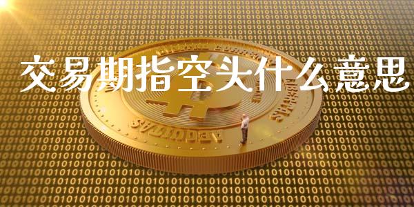交易期指空头什么意思_https://m.eyunqq.com_基金交易_第1张