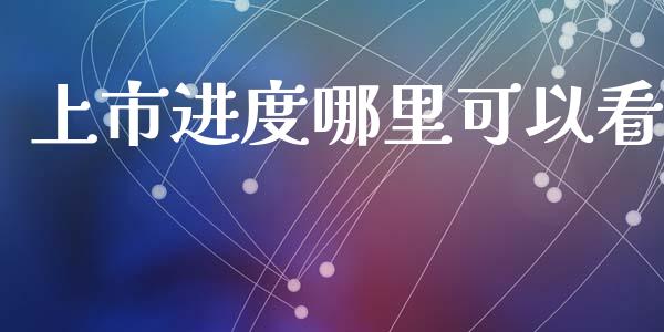 上市进度哪里可以看_https://m.eyunqq.com_融资融券_第1张