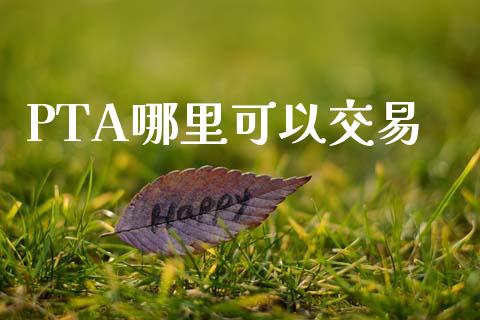 PTA哪里可以交易_https://m.eyunqq.com_期货投资学习_第1张