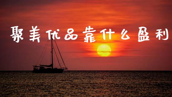 聚美优品靠什么盈利_https://m.eyunqq.com_新股申购_第1张