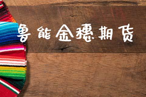鲁能金穗期货_https://m.eyunqq.com_新股申购_第1张