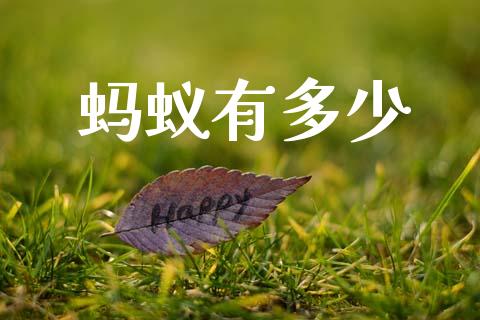 蚂蚁有多少_https://m.eyunqq.com_融资融券_第1张