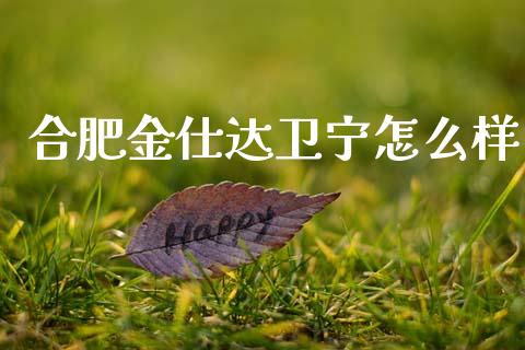 合肥金仕达卫宁怎么样_https://m.eyunqq.com_期货投资学习_第1张