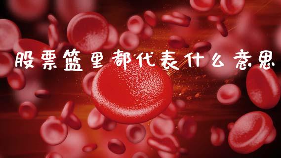 股票篮里都代表什么意思_https://m.eyunqq.com_基金交易_第1张