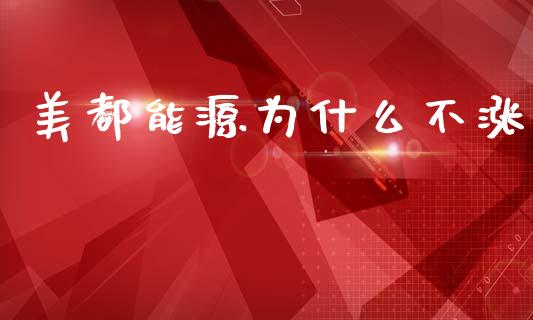 美都能源为什么不涨_https://m.eyunqq.com_融资融券_第1张