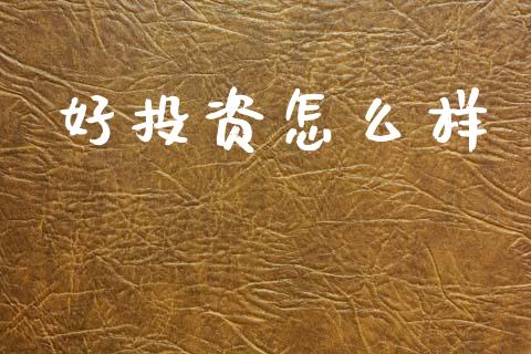 好投资怎么样_https://m.eyunqq.com_基金交易_第1张