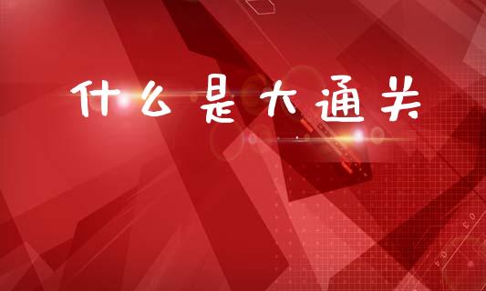 什么是大通关_https://m.eyunqq.com_期货投资学习_第1张