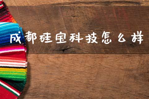 成都硅宝科技怎么样_https://m.eyunqq.com_基金交易_第1张