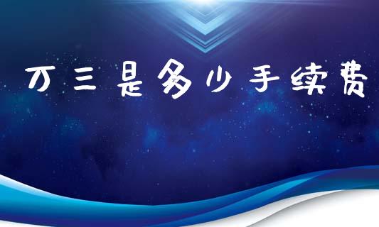 万三是多少手续费_https://m.eyunqq.com_新股申购_第1张