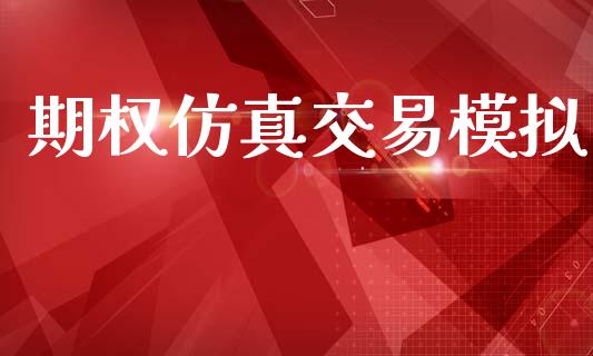 期权仿真交易模拟_https://m.eyunqq.com_期货投资学习_第1张