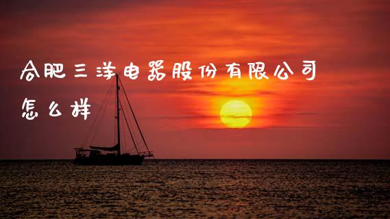 合肥三洋电器股份有限公司怎么样_https://m.eyunqq.com_基金交易_第1张