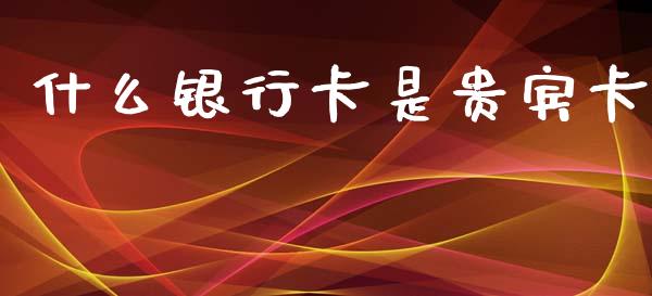 什么银行卡是贵宾卡_https://m.eyunqq.com_新股申购_第1张