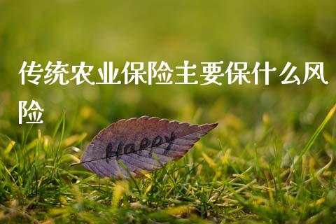 传统农业保险主要保什么风险_https://m.eyunqq.com_期货投资学习_第1张