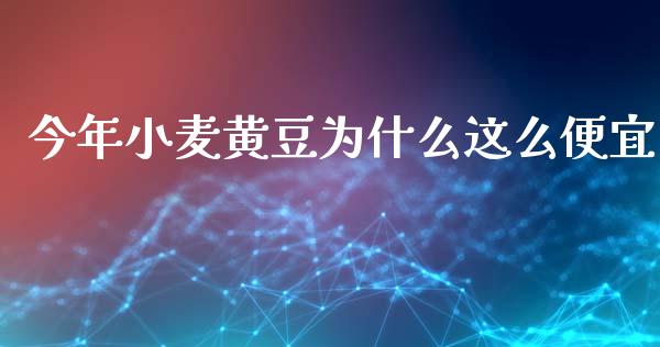 今年小麦黄豆为什么这么便宜_https://m.eyunqq.com_基金交易_第1张