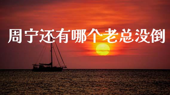 周宁还有哪个老总没倒_https://m.eyunqq.com_新股申购_第1张