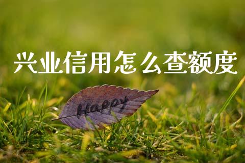 兴业信用怎么查额度_https://m.eyunqq.com_融资融券_第1张