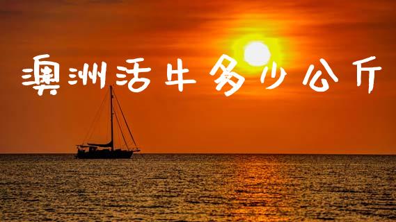 澳洲活牛多少公斤_https://m.eyunqq.com_新股申购_第1张