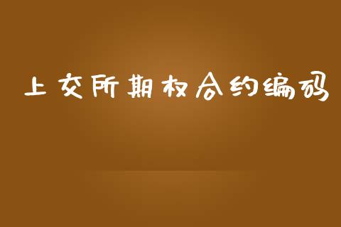 上交所期权合约编码_https://m.eyunqq.com_新股申购_第1张