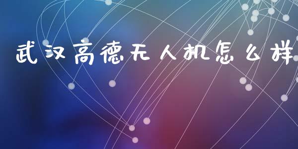 武汉高德无人机怎么样_https://m.eyunqq.com_融资融券_第1张