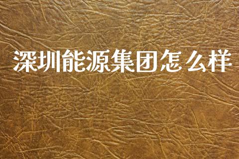 深圳能源集团怎么样_https://m.eyunqq.com_融资融券_第1张