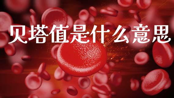 贝塔值是什么意思_期货投资学习_第1张_期货投资学习_新股申购_融资融券_基金交易 贝塔值是什么意思_https://m.eyunqq.com_期货投资学习_第1张