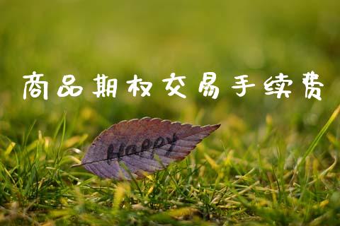 商品期权交易手续费_https://m.eyunqq.com_融资融券_第1张