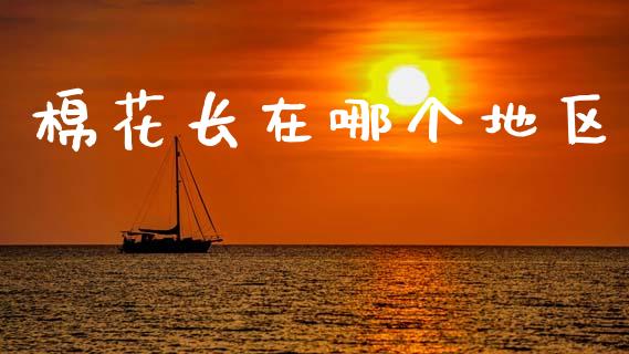 棉花长在哪个地区_https://m.eyunqq.com_融资融券_第1张