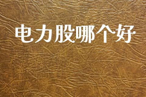 电力股哪个好_https://m.eyunqq.com_融资融券_第1张