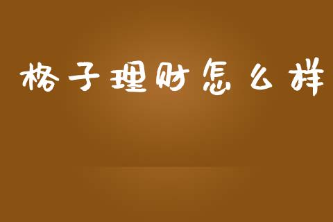 格子理财怎么样_https://m.eyunqq.com_期货投资学习_第1张