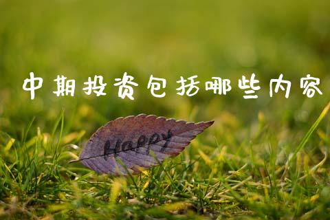 中期投资包括哪些内容_https://m.eyunqq.com_融资融券_第1张