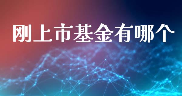 刚上市基金有哪个_https://m.eyunqq.com_期货投资学习_第1张