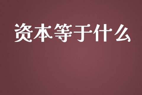 资本等于什么_https://m.eyunqq.com_期货投资学习_第1张