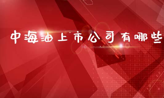 中海油上市公司有哪些_https://m.eyunqq.com_期货投资学习_第1张