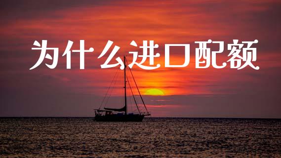 为什么进口配额_https://m.eyunqq.com_新股申购_第1张