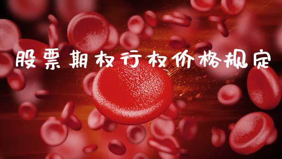 股票期权行权价格规定_https://m.eyunqq.com_基金交易_第1张