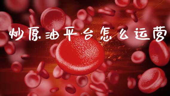 炒原油平台怎么运营_https://m.eyunqq.com_期货投资学习_第1张