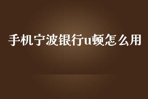 手机宁波银行u顿怎么用_https://m.eyunqq.com_期货投资学习_第1张