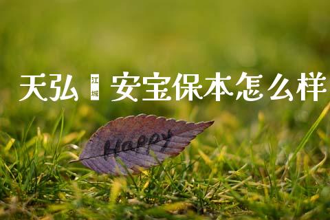 天弘鑫安宝保本怎么样_https://m.eyunqq.com_新股申购_第1张