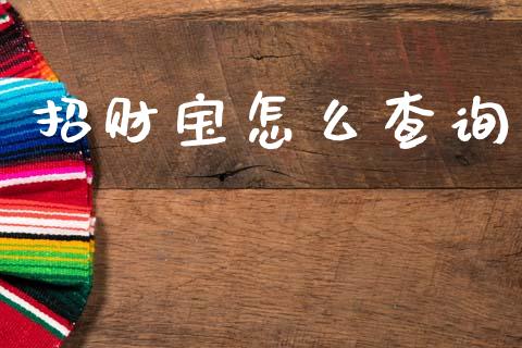 招财宝怎么查询_https://m.eyunqq.com_基金交易_第1张