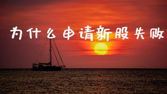 为什么申请新股失败_https://m.eyunqq.com_期货投资学习_第1张
