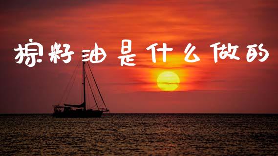 棕籽油是什么做的_https://m.eyunqq.com_融资融券_第1张