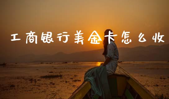 工商银行美金卡怎么收_https://m.eyunqq.com_期货投资学习_第1张