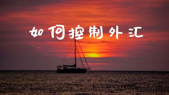 如何控制外汇_https://m.eyunqq.com_基金交易_第1张
