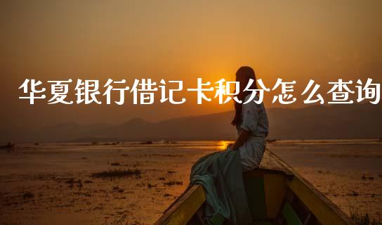 华夏银行借记卡积分怎么查询_https://m.eyunqq.com_新股申购_第1张